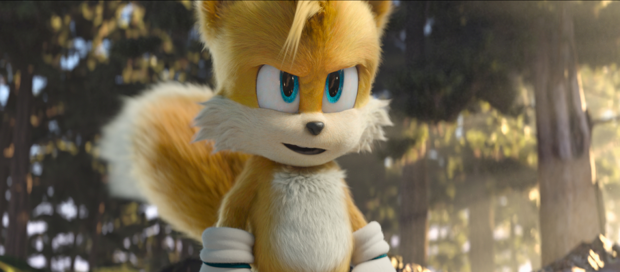 รีวิว Sonic the Hedgehog 2 (2022) ภาคต่อที่มีดีกว่าภาคแรก